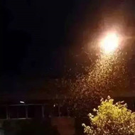 白蟻危害大，4-6月份進(jìn)入其活躍期 防治白蟻不容忽視！